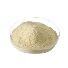 Top Quality Bacillus Subtilis Food Grade and Feed Grade Bacillus Subtilis Buy